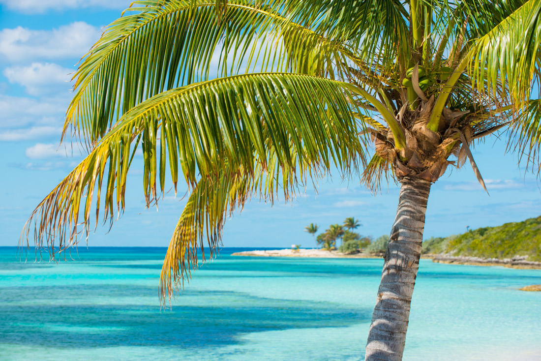 Pristine beaches and lush landscape of Coco Cay, a luxurious oasis in the Bahamas, Caribbean.