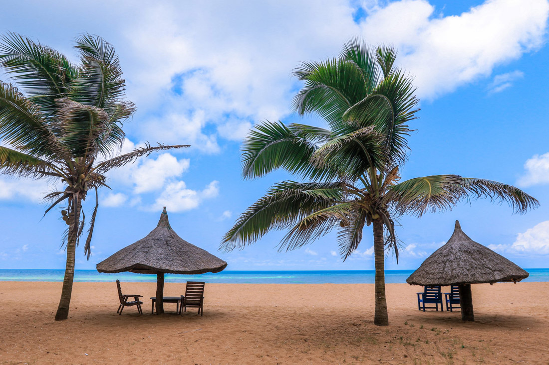 Palm trees lining the sandy shores of Grand-Popo, Western Benin.