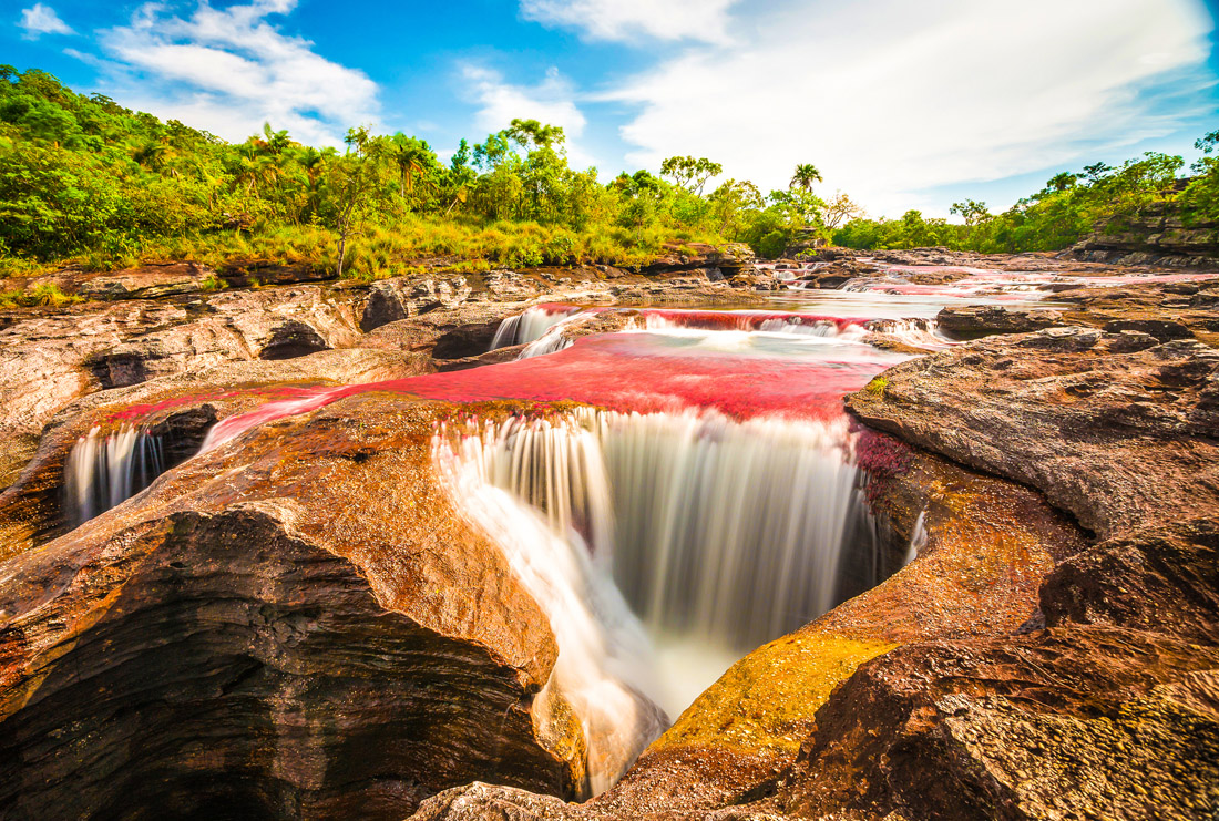 "Caño Cristales, Colombia's 'river of five colors,' showcasing nature's vibrant palette.