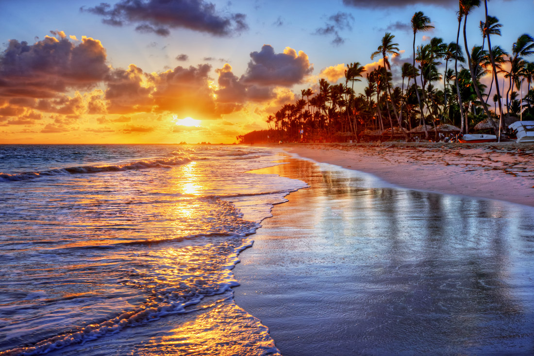 Idyllic Jamaican beach at sunrise, adorned with palm trees and vibrant ocean hues.
