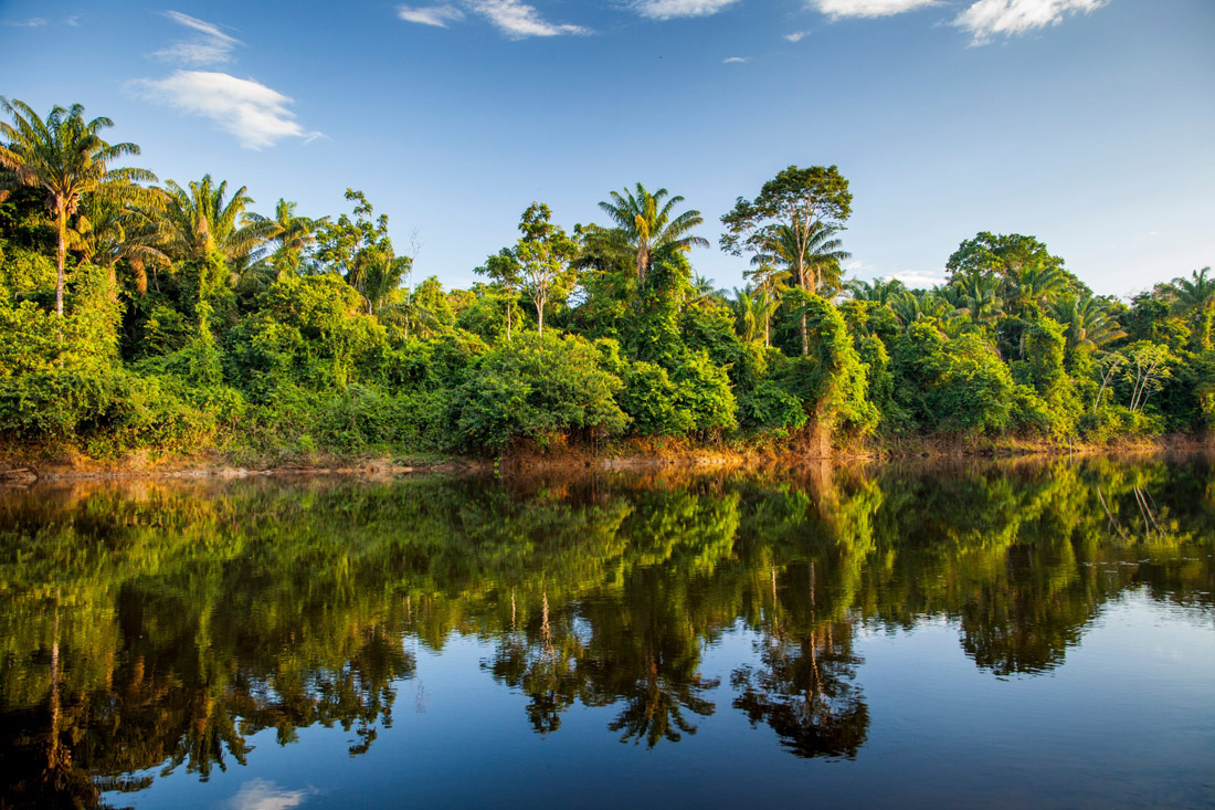 Blahface.com - Topic is Travel Destination to Suriname