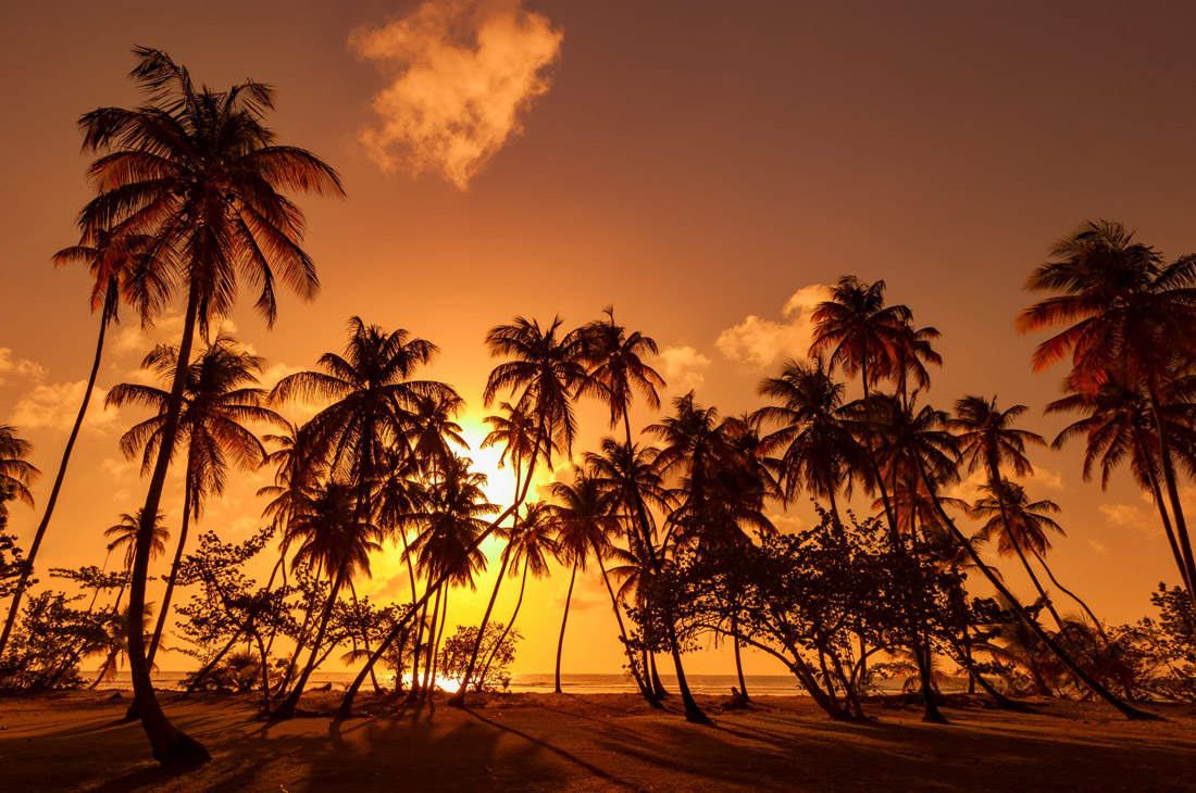Blahface.com - Topic is Travel Destination to Trinidad and Tobago